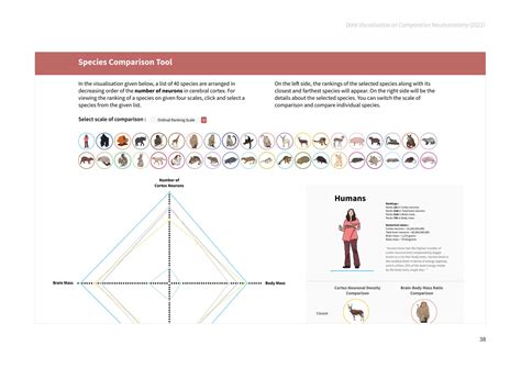 D'source Case Study - Slide Show | Data Visualization on Comparative ...