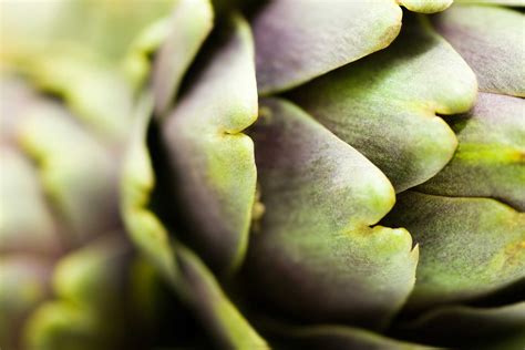 Can Artichokes Prevent Cancer at James Glassop blog - What Foods Can Prevent Cancer