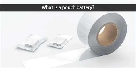 Image result for Pouch Battery Module