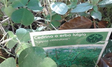 SAN GIUSEPPE DELLA MONTAGNA (Rome) - B&B Reviews & Photos - Tripadvisor