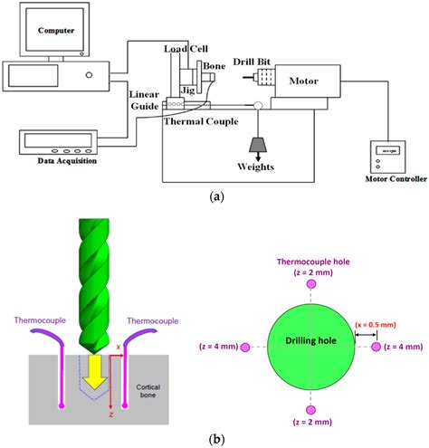 Assessment of Thermal Osteonecrosis during Bone Drilling Using a Three ...