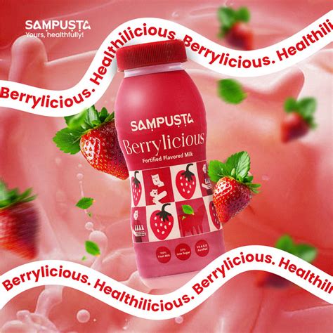 Berrylicious Fortified Flavoured Milk – Sampusta