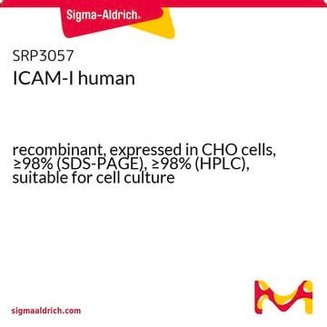 ICAm-I human recombinant, expressed in CHO cells, 98 (SDS-PAGE), 98 ...
