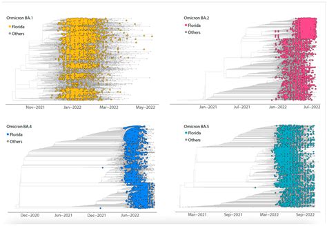 From Emergence to Evolution: Dynamics of the SARS-CoV-2 Omicron Variant in Florida
