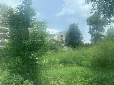 3000 Sq-ft Residential Plot & Land for Sale in Vasna Road,Vadodara This ...