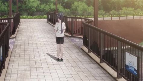 Image result for Selection Project 9