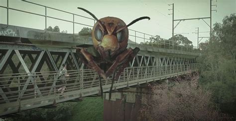 Image result for Alien Zombie