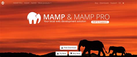 Local Development Environments 的图像结果