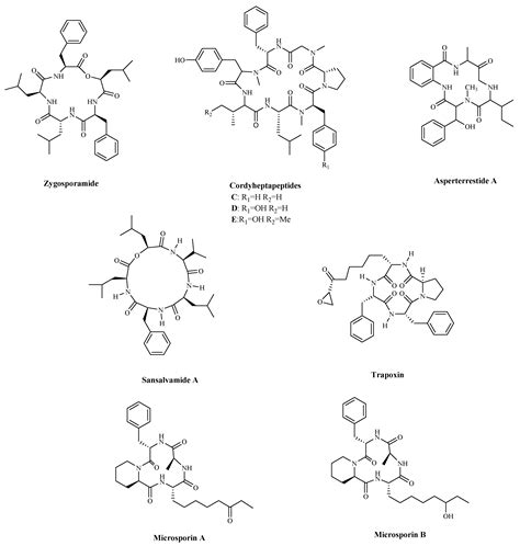 Recent Advances in Small Peptides of Marine Origin in Cancer Therapy
