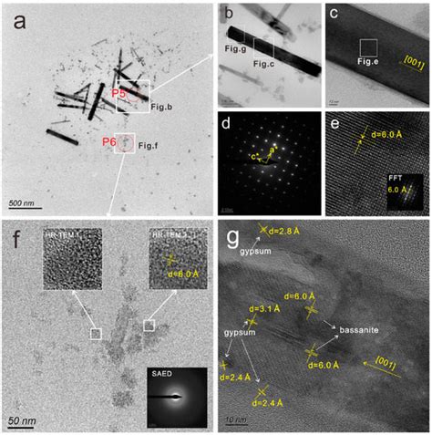 Calcium Sulfate Nanoparticles in Surface Sediments of Lingding Bay of ...