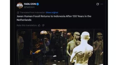 ‘Java Man’ fossils return home to Indonesia after 130 years in the ...