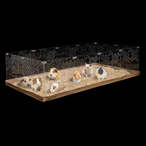 Tuykay Guinea Pig Cages 4x2 ft Large Acrylic Cage Habitat India | Ubuy