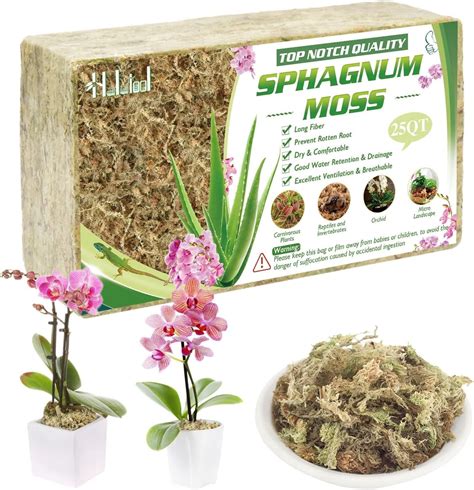 Amazon.com : 2.6LB Sphagnum Moss for Plants, Reptiles Sphagnum Moss for ...