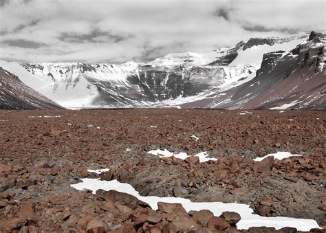 Cryospheric Sciences | Image of the Week – Desert Varnish, Antarctica Style