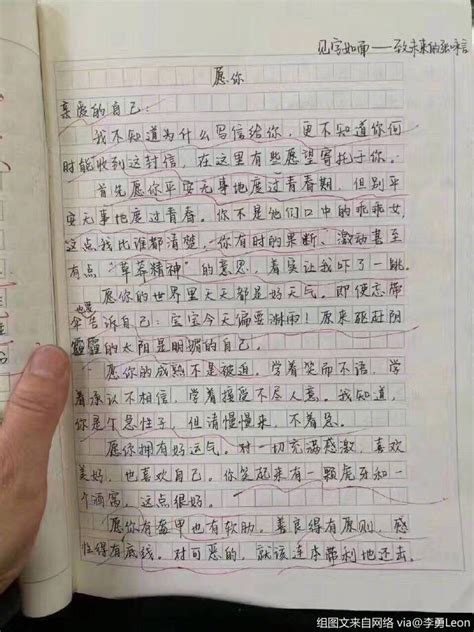 再也没有作文800字(高分作文)_文档之家