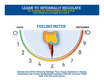 Image result for Process of Trauma Chart