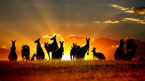 Why Australia Is Unique Characteristics Of A True Outback Adventure