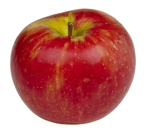 Image result for Apple Basic Programming Example