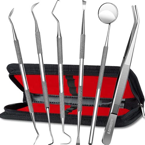 Amazon.com: G.CATACC Dental Tools, Dental Pick Teeth Cleaning Tools ...
