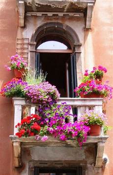 fioriere da davanzale venecia amazing world balconi fioriere per davanzale fioriere da davanzale venecia amazing world balconi fioriere per davanzale