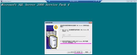 SQL Server 2000 的图像结果