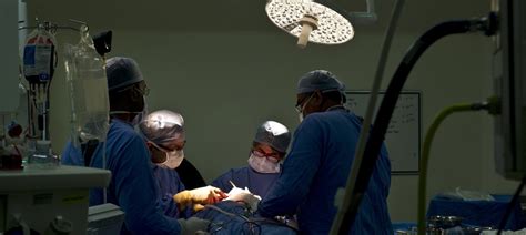 Kidney racket: Police arrest personal assistant of Apollo doctor