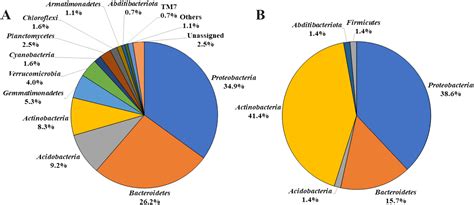 Microbial community structure analysis in Acer palmatum bark and isolation of novel bacteria IAD ...