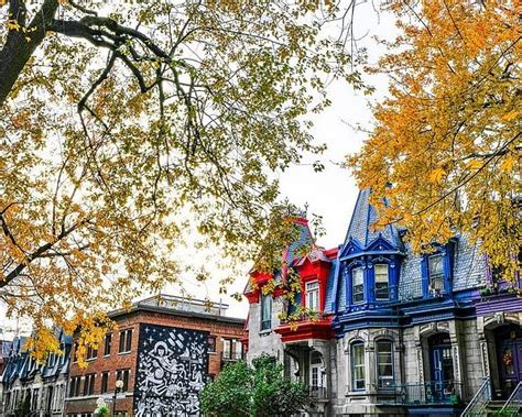 Mile-End (Montreal) - All You Need to Know BEFORE You Go