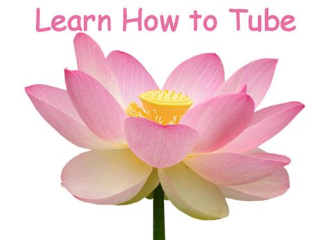 Image result for Tube Tutorial