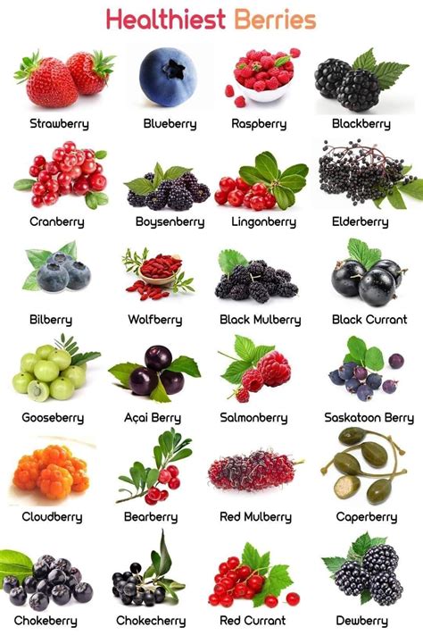 Types of berries list of 49 berries with yummy pictures – Artofit