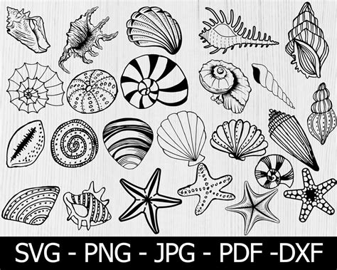 Image result for SeaShell SVG