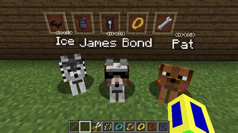 Image result for Copious Dogs Mod Install 1 7 10