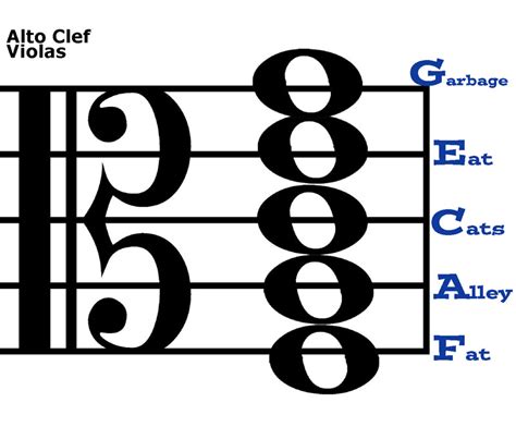 Image result for Viola Clef Notes