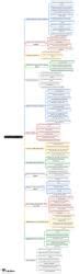 Mind Map: External Sector in India - Indian Economy for UPSC CSE PDF ...