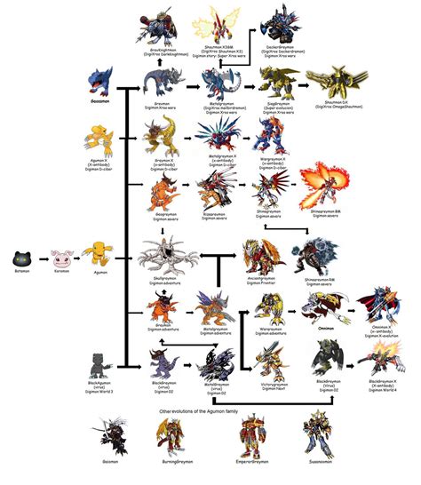 Digimon Season 4 Evolution Chart