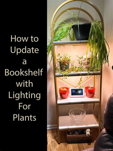 Color Coding System 的图像结果