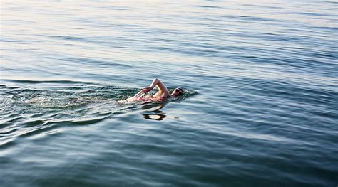 Open Water Swimming 的图像结果
