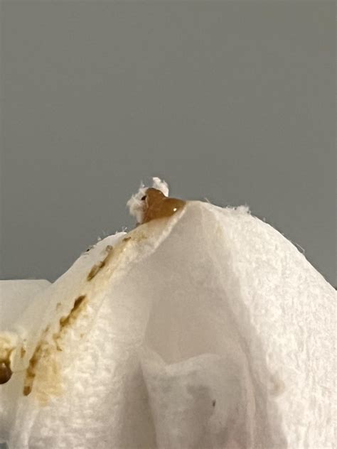 Green Jelly Poop at Brittany Velarde blog