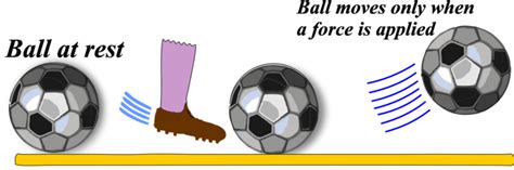 Inertia 的图像结果