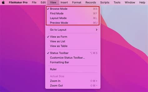 FileMaker Beginner Basics 的图像结果