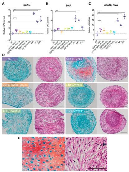 Screening for Growth-Factor Combinations Enabling Synergistic ...