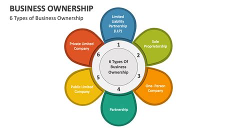 Ownership 的图像结果