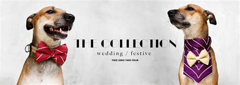 Dog Bow ties, Bandanas & Dog Collars - Shop Online for Dog Accessories ...