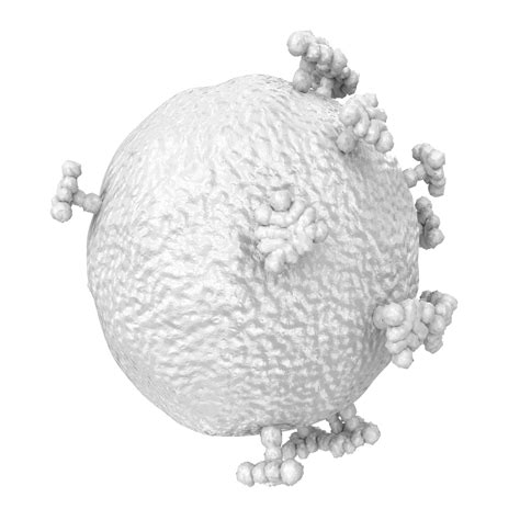 Image result for Computer Virus Transparent Background