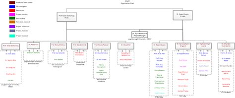STAPP Management Structure