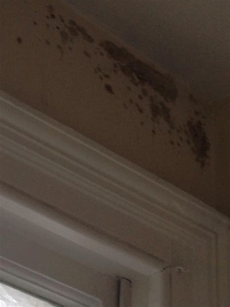 THE BLUE ANCHOR (Byfleet) - Inn Reviews & Photos - Tripadvisor