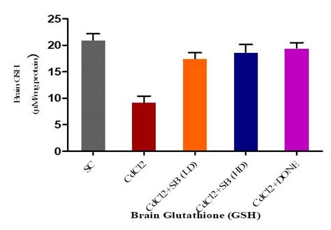 Investigative studies on pharmacological potential of HDAC inhibitor on ...