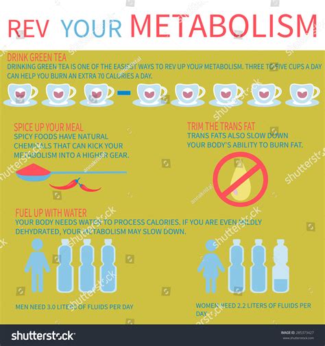 What Improves Your Metabolism