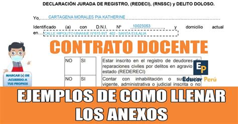 Ejemplos de como llenar los Anexos del Contrato Docente ~ Educar Perú