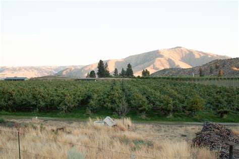 Beebe Bridge Park - Hipcamp in Orondo, Washington